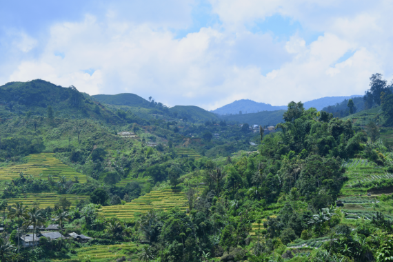 Bioprospeksi: Menyelia Tetumbuhan Berpotensi Sebagai Pangan, Obat, dan Serat Alam