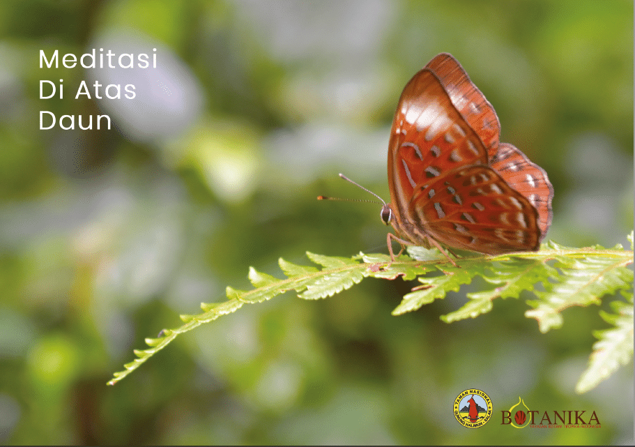 Peringati HCPSN, Botanika Luncurkan Buku Fotografi ‘Meditasi di Atas Daun’