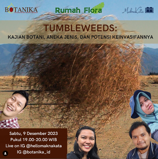 Tumbleweeds: Kajian Botani, Aneka Jenis, dan Potensi Keinvasifannya
