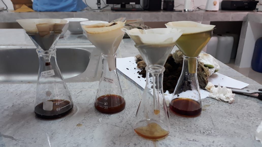 Ethnopharmacology properties of Medicinal plants used by the community in Gunung Halimun Salak National Park, West Java, Indonesia