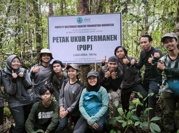 Penelusuran Kembali: Kemegahan dan Kekayaan Hayati Tumbuhan di Hutan Kehje Sewen